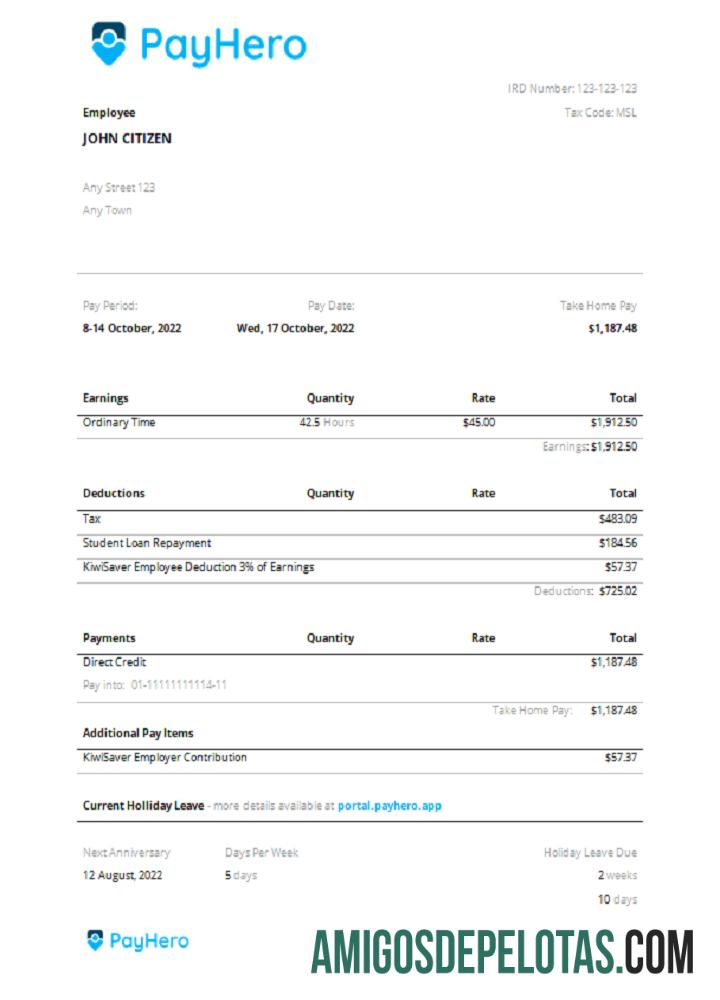 Esboço de pagamento da PayHero Financial Company dos EUA modelo